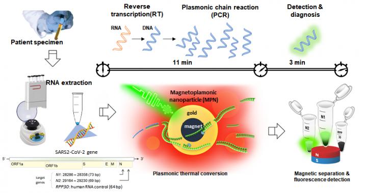 Figure 1. Coronavirus diagnosis process using nanoPCR technology