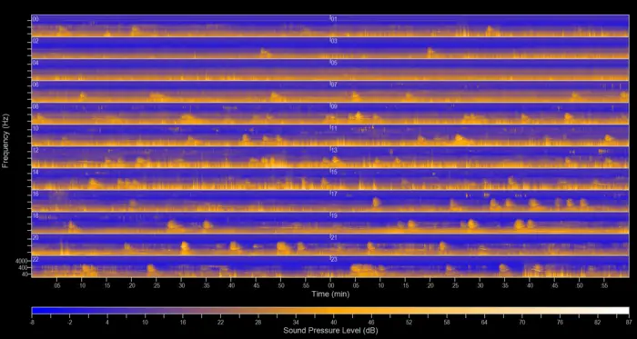 Example of spectrogram