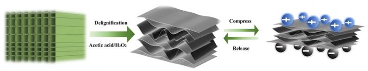 Piezoelectric nanogenerator