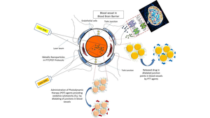 Combined PDT/PTT approaches for the treatment of brain tumors