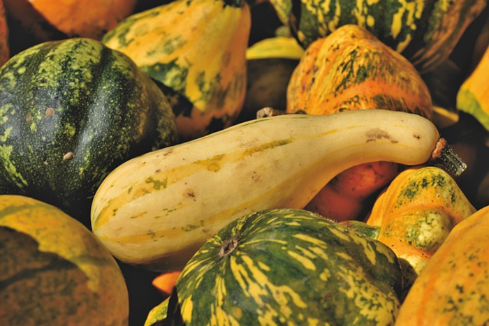 Squash