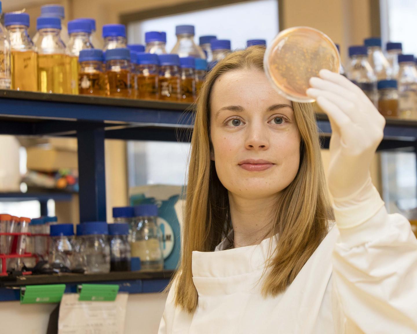 Professor Joan Geoghegan in the lab