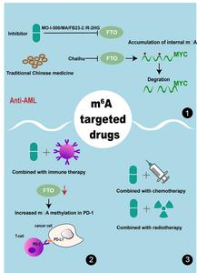 Review highlights the pathogenic role of post-transcriptional RNA modifications in acute myeloid leukemia