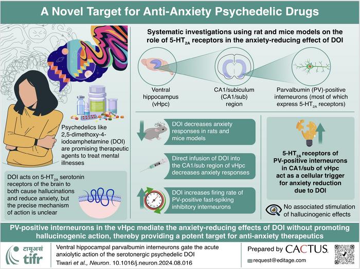 A Novel target for Anti-Anxiety Psychedelic drugs