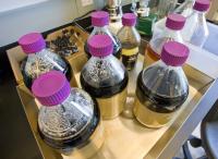 Ionic Liquids for Biofuels