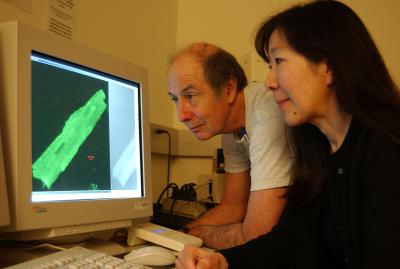 UC Davis Researchers