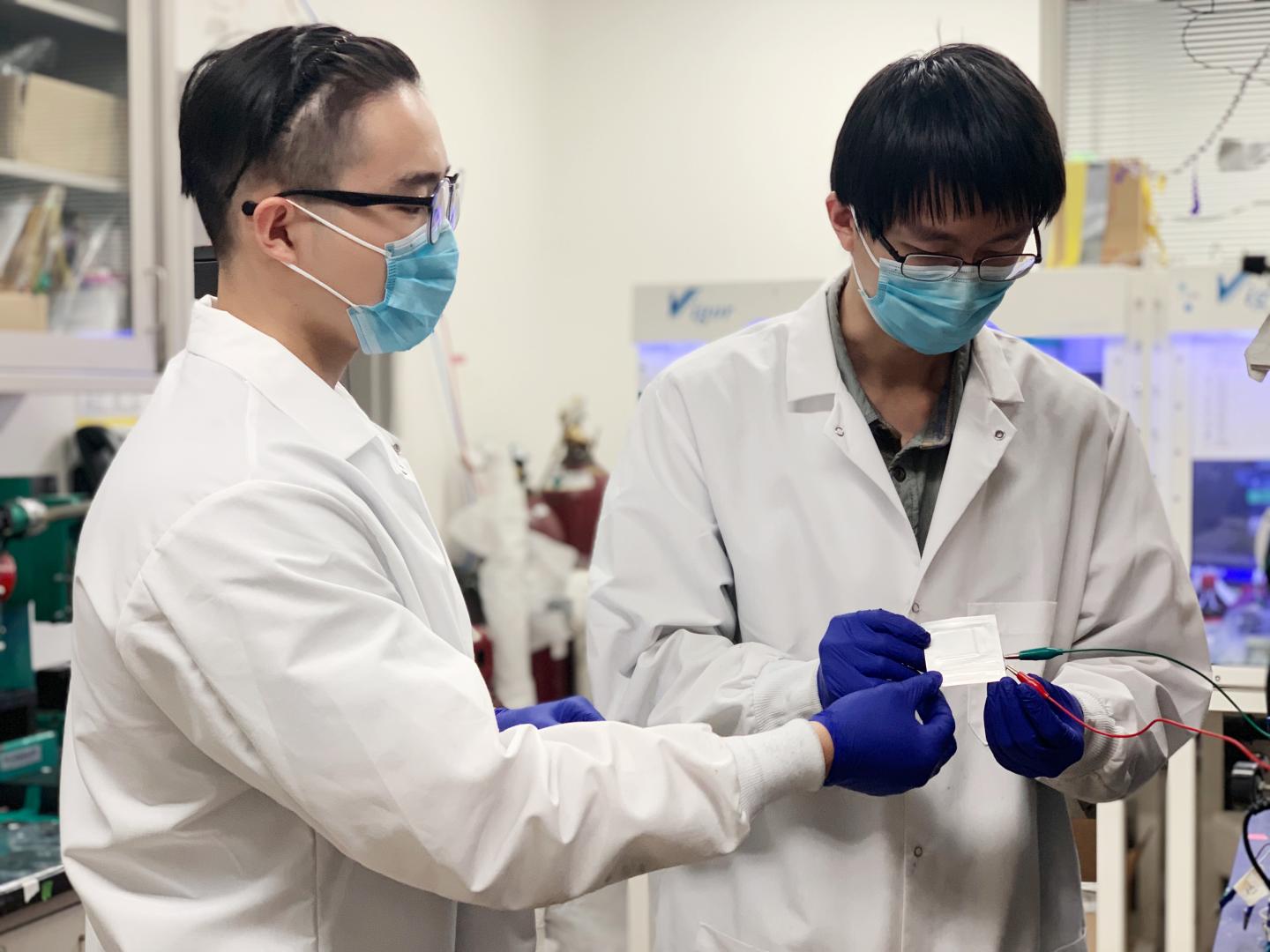 Lithium Metal 2 Hansen Wang left, Zhiao Yu right