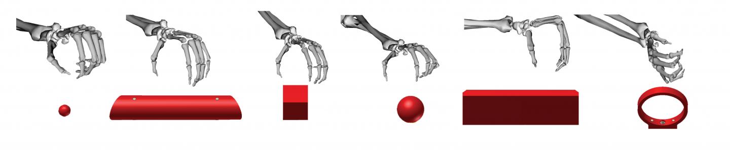 six different objects that were presented to the monkeys together with the corresponding grip types