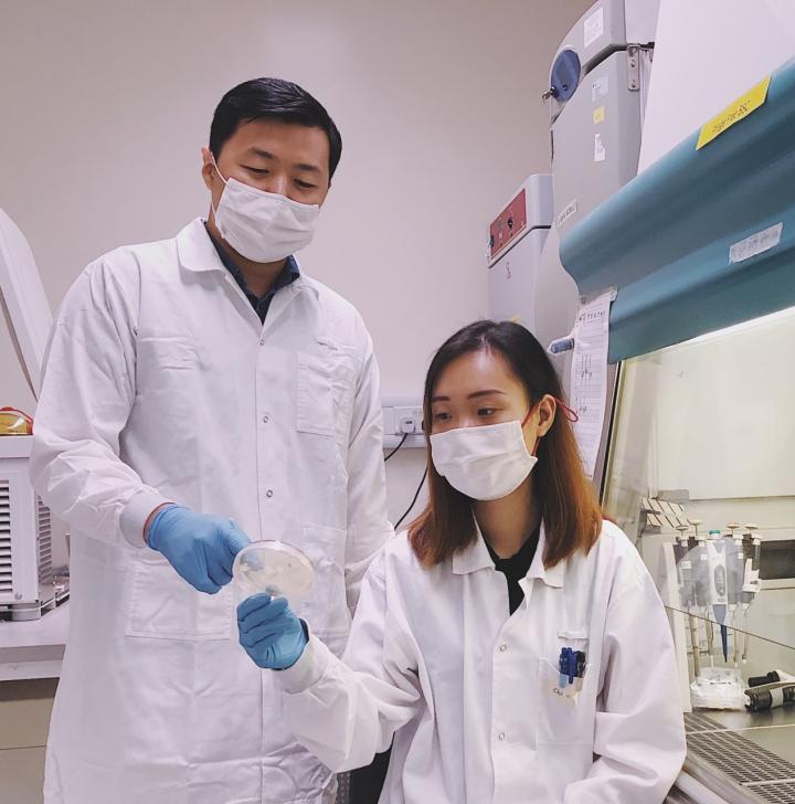 SMART AMR researchers Boon Chong Goh (left) and Linh Chi Dam (right) evaluate the bacterial cells after treatment with lysins