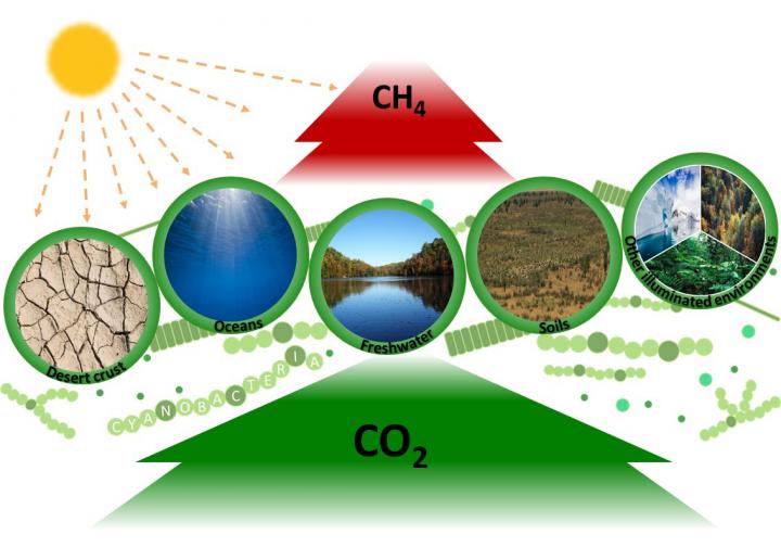 Direct Evidence that Widespread BlueGreen Al EurekAlert!