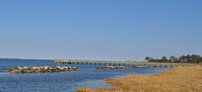 Indian River Bay, Delaware, Study Site