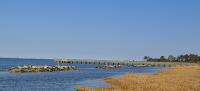 Indian River Bay, Delaware, Study Site