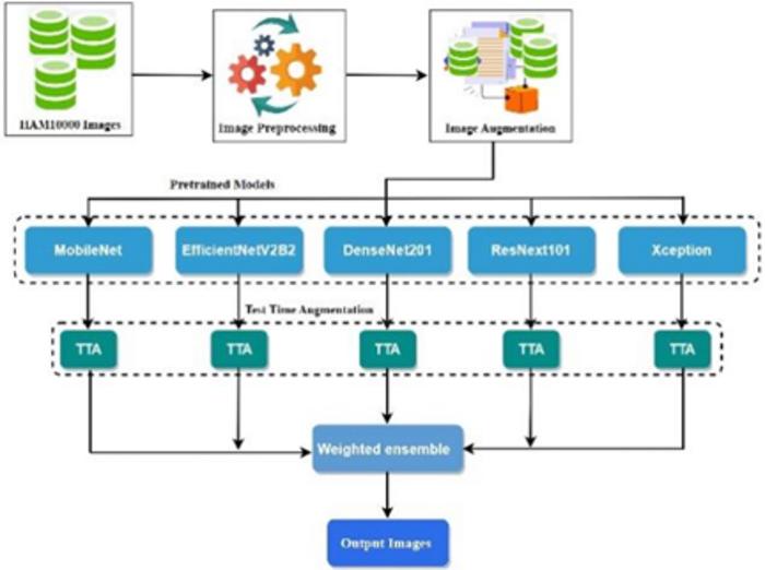 The proposed model architecture.