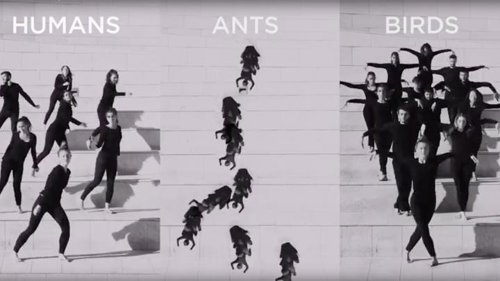 A Still of Antonia Groneberg's Winning Submission