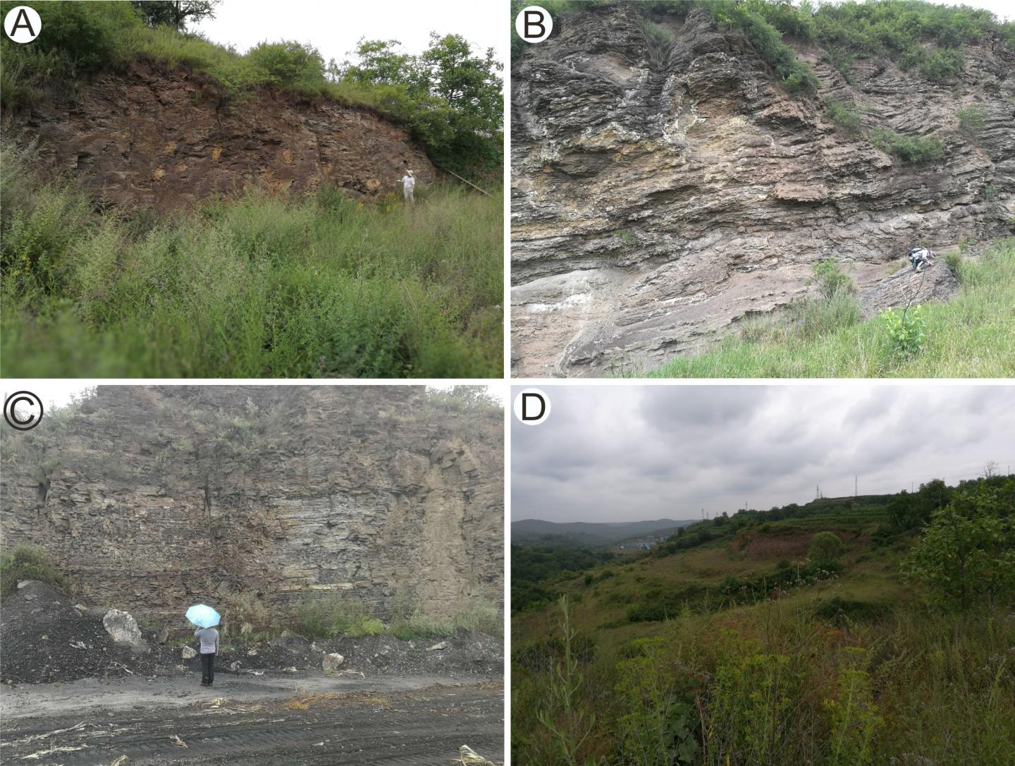 Field Photographs of Study Area