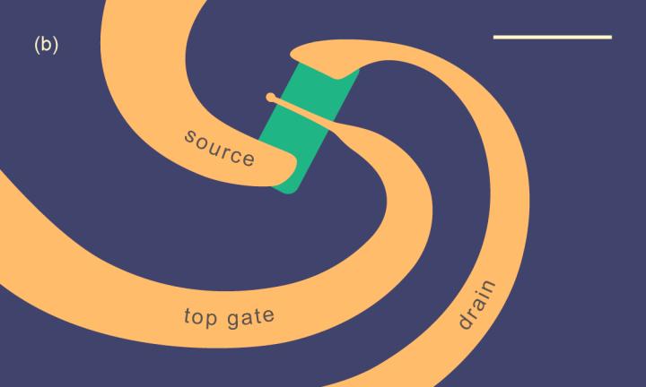 Figure 2. The Operating Area of the Terahertz Detector