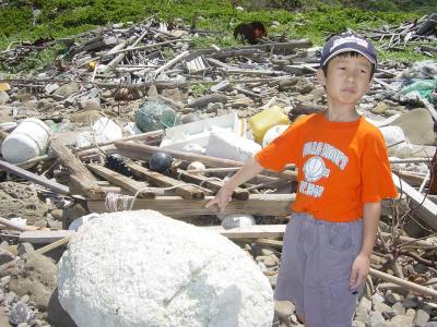 Debris from the Ocean