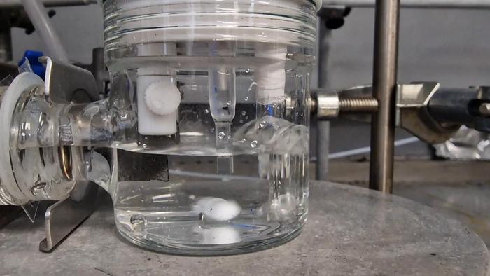 Bubbles of CO2 passing through the electrochemical reactor