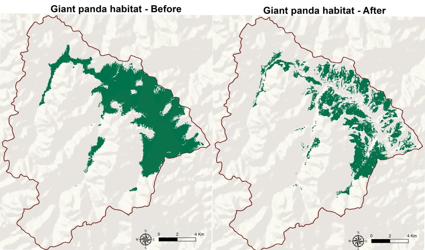 Panda Grazing Impact Maps