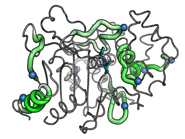 Peptide Backbone