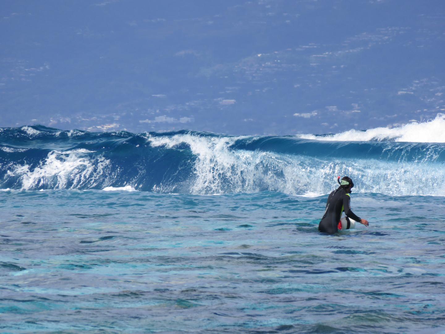 Coral Reef Structure Matters Most, for Keeping Tropical Coastlines Intact (2 of 8)