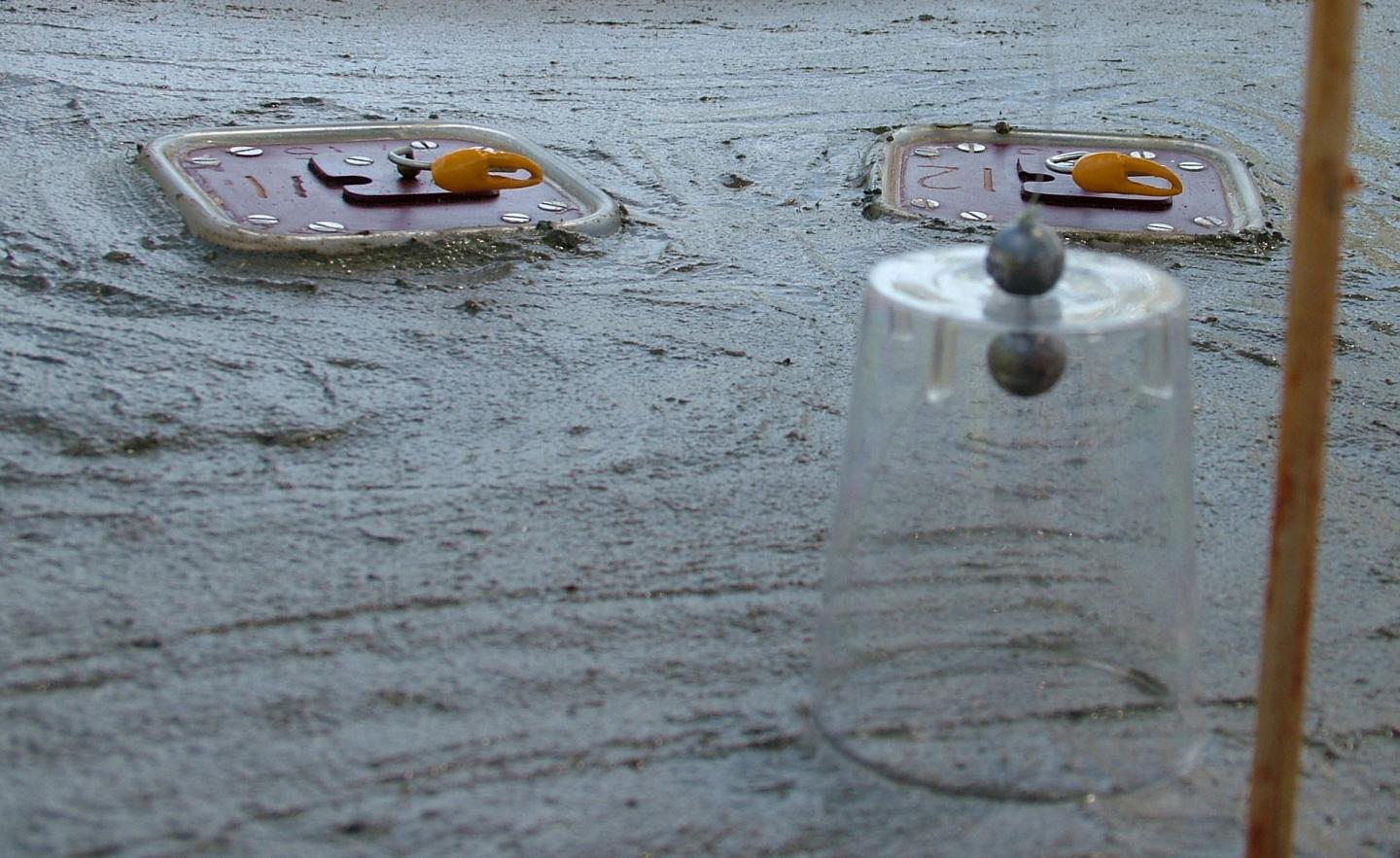 Robotic Male Crab Arms