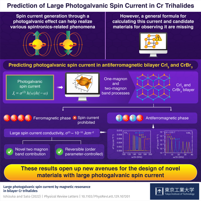Prediction of Large Photogalvanic Spin Current in Cr Trihalides