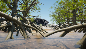 Sea level flooding - Mangroves Image