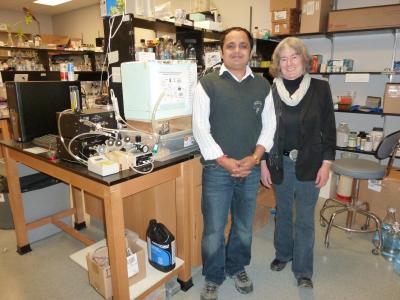 Queen's University Researchers Discover Common Nanoparticles are Highly Toxic to Arctic Ecosystem