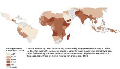 Stunted Child Growth due to Inadequate Food