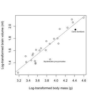 The allometric relationship between brain and body size in canids