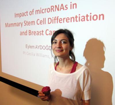 Eylem Aydogdu, University of Houston