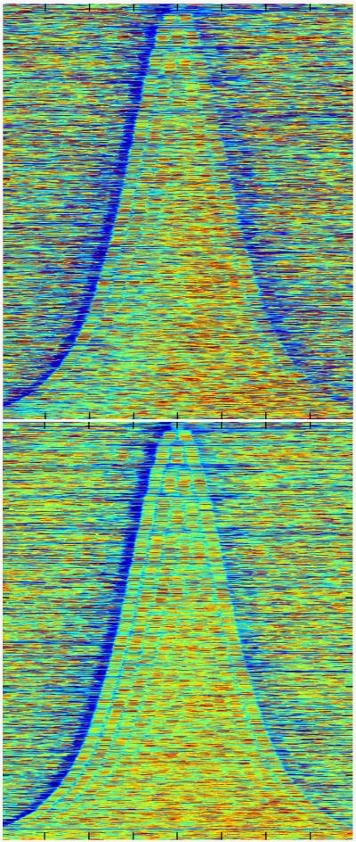 Nucleosomal Occupancy
