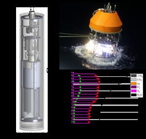 A deep-sea mass spectrometer for in situ dissolved gases detection