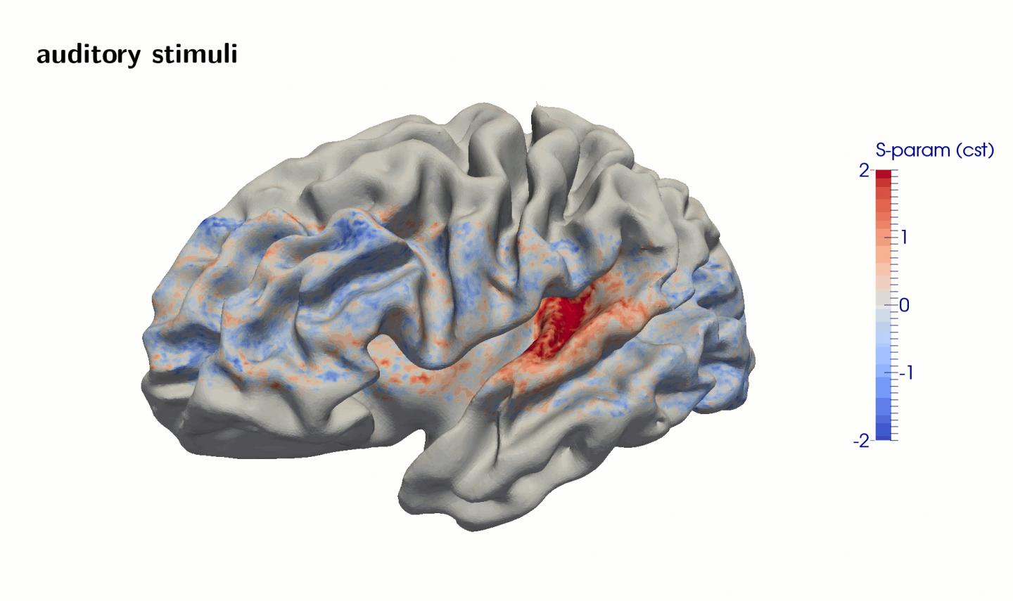 Sensory Perception Is not Superficial Brain Work