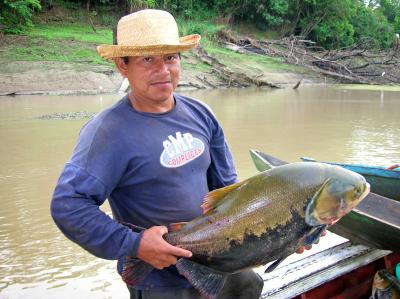 Climate Dependent Catch