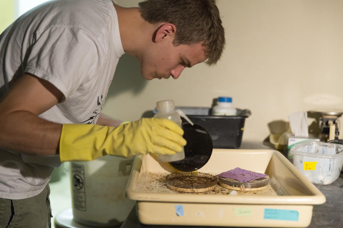 Kip Lacy, University of Georgia