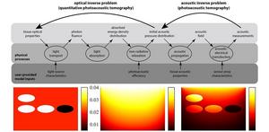 The optical component of quantitative photoacoustic tomography, where optical parameters are estimated from the initial pressure generated by heating and expansion of biological tissues by laser pulses.