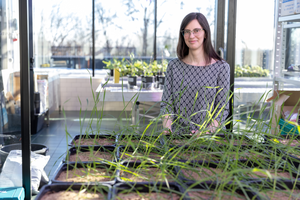 Marina Semchenko, Associate Professor of Plant Ecology of the University of Tartu