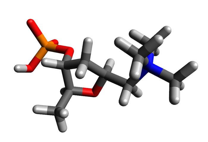 Chemical structure 4'-Phosphomuscarin