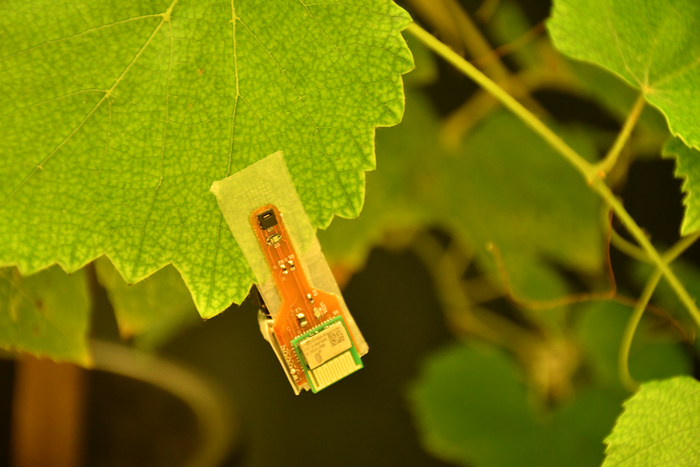 Intelligent clips for the wireless monitoring