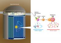 Gamma Ray Signals