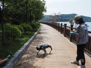 CyberDog RIFA nest detection system at work