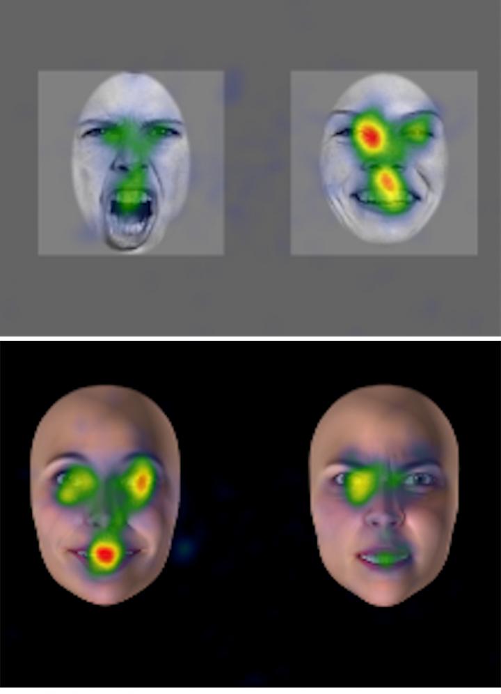 Durées moyennes des fixations oculaires