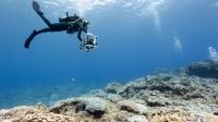 Scripps Coral Reef Researchers Canvas a Reef in Palmyra