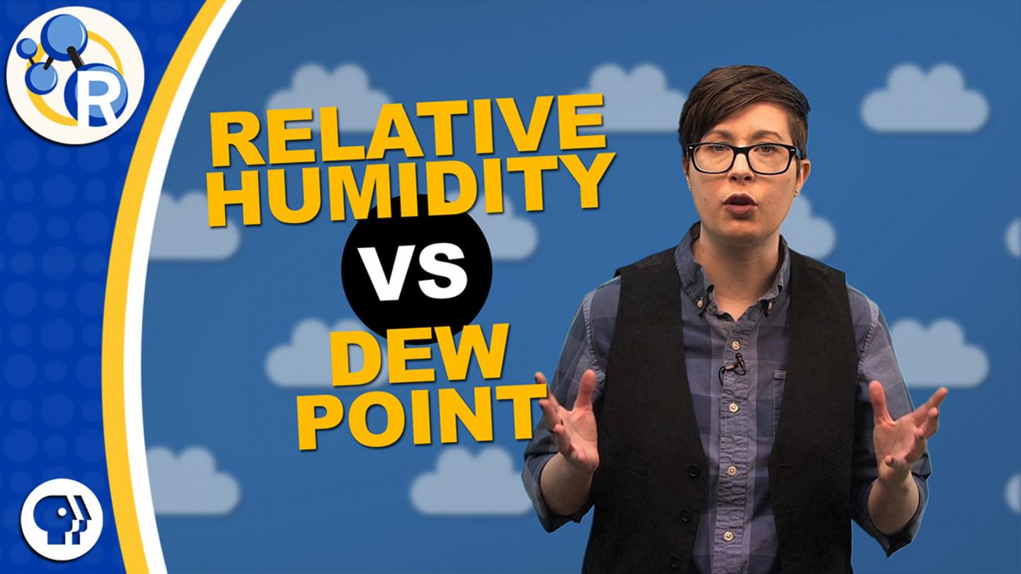 What's the Difference between Relative Humidity and Dew Point? (Video)