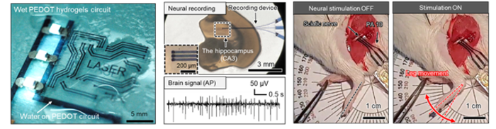 Fabrication of conductive hydrogels pattern and applications to bioelectronic devices