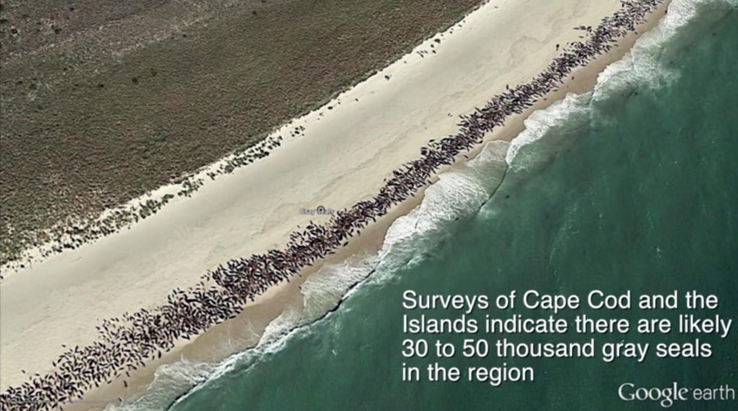 Johnston GE Sealbeach