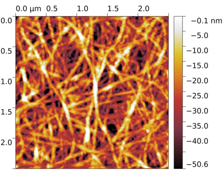 Carbon Nanotube Film