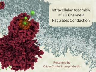 Intracellular Assembly of Kir Channels Regulates Conduction